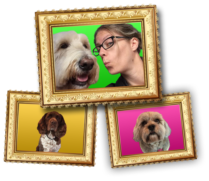 Hoochie Poochie Dog Grooming